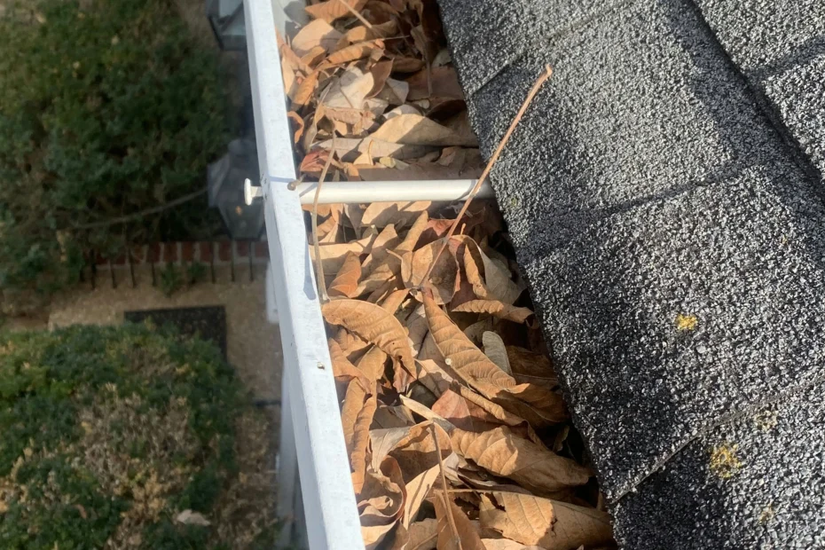 Gutter Cleaning Mountain Home AR